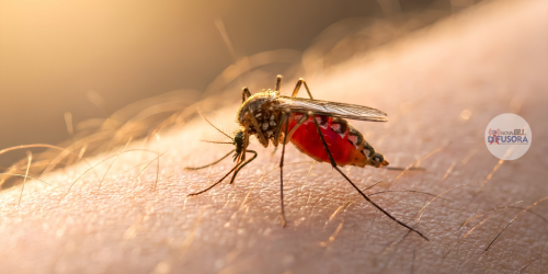 Amparo inicia vacinação contra a dengue para adolescentes de 10 a 14 anos